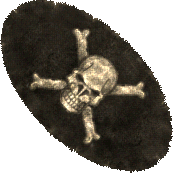 Pirate Rug South.png