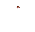 Thumbnail for version as of 14:44, 15 September 2025