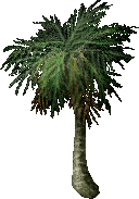 FruitTree(DatePalm).png