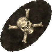 Pirate Rug East.png