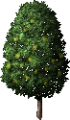FruitTree(Lime).png