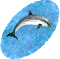 DolphinRugEast.png