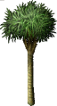 FruitTree(Coconut).png